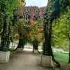 eskiehir26266