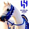 almaha4496