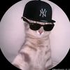 krico_dn