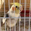 aminovitch.moloto