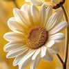 huda.sultan7
