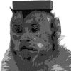 Monkeysocios