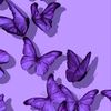 micaela_uneis_18