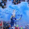 carlos_tello12