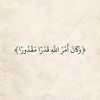 miroo_7773