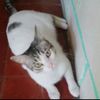 hernan.mauricio.m04