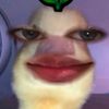 4lwys.ryyn