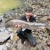 c90lure tặc fặcfặc