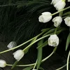 pearl.412000