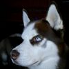 itsmikeagain2