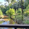 sitio_lindos_campos