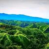 .putra.jampang