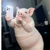 _chubbyne_