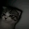 louiebe8