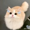onlysahila