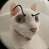 thichhung6tc3