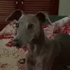 mira.mira.ozzi