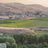 yusif.surchy2