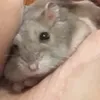 coconut_space7