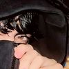 shamoo_43