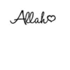 arin_arkan11