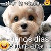 user293228330390ch