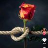 user5515732516616