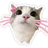 stephanie.mae.pas
