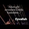 sayen37171311