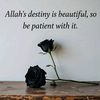 senja.aisyah31