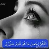 haidrzxm137