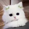 cemmegcl
