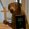 xdxdaniel