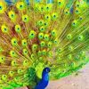 md.hira078