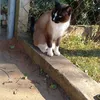 eunice.mateus7