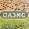 oasis777oasis