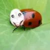 vinkiiz