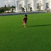 zaid_zavian
