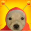 tadeo_jons_en_axion