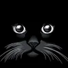 catteryderomys