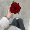 nadianadin237