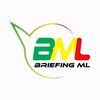 briefingml