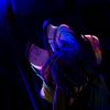 deepblue_diva