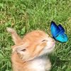 noemie_gamer13