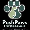 poshpaws.ae