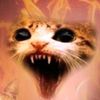 tipplicker69