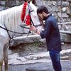 bali_shah56