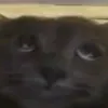 maksimbebr0vich