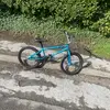 maxnew39