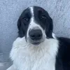 charlies_journeyy